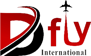 dfly international logo