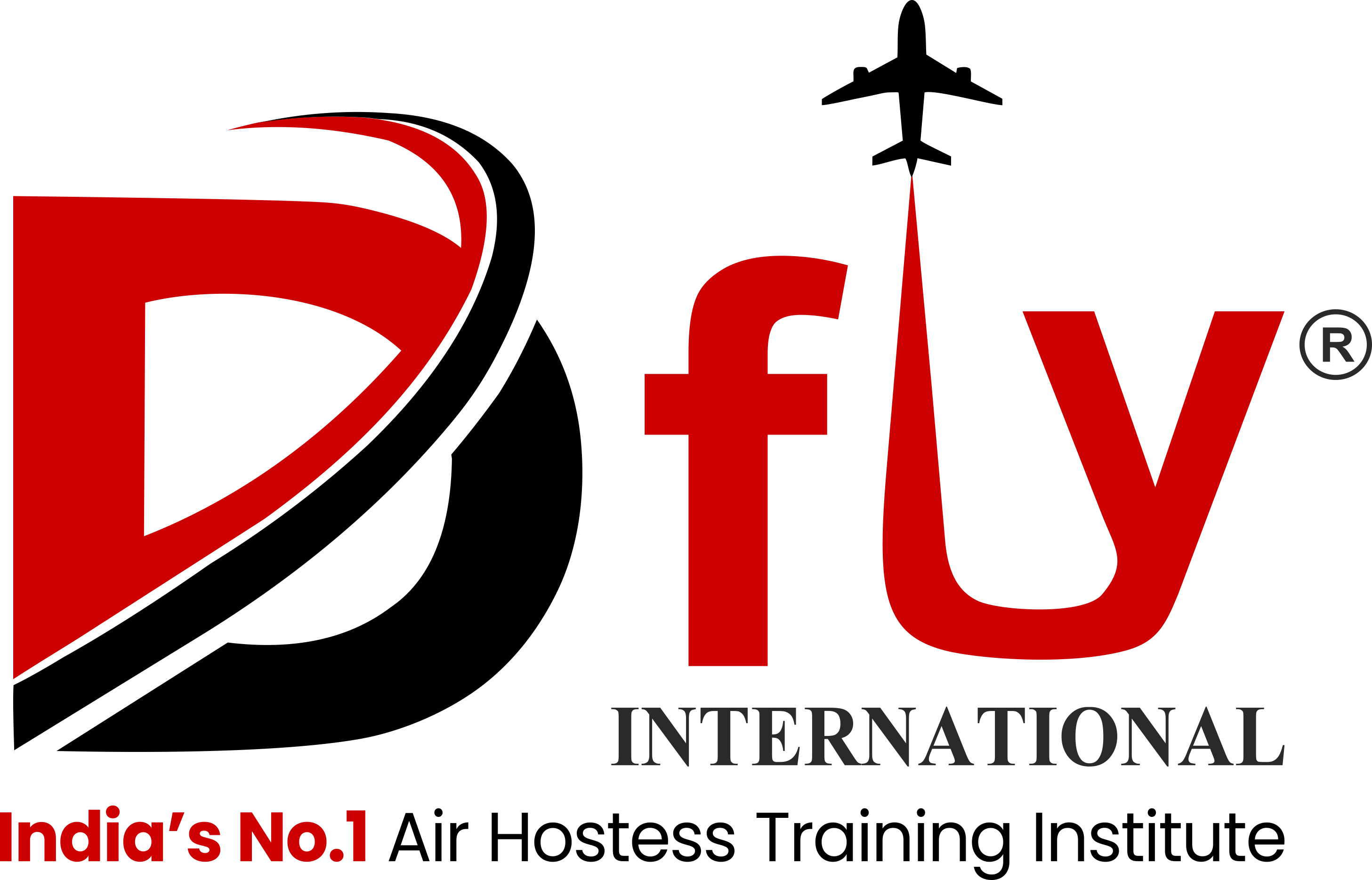 Dfly international